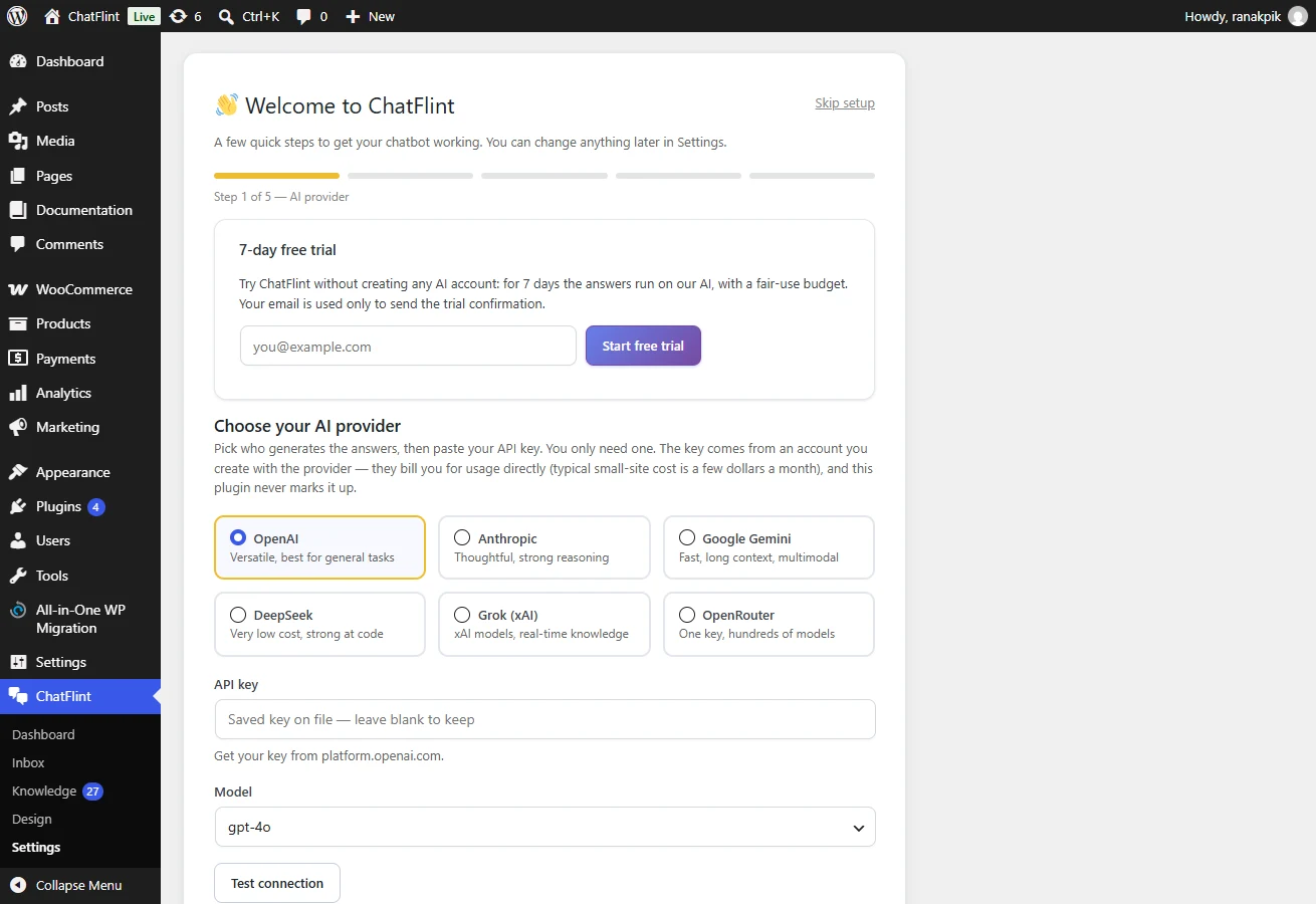 The provider step of the setup wizard: pick a provider and paste your key.